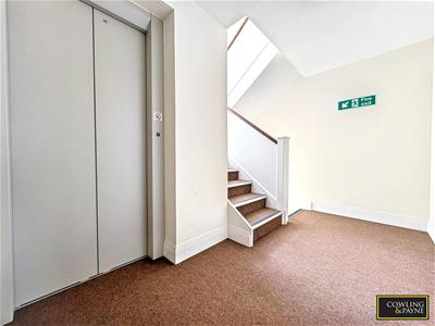 Picture 20
